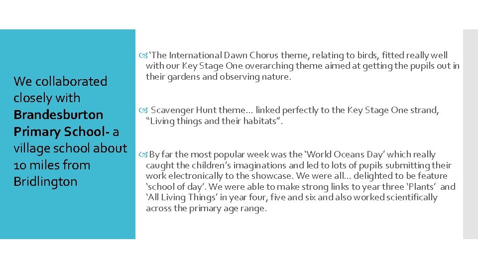 We collaborated closely with Brandesburton Primary School- a village school about 10 miles from