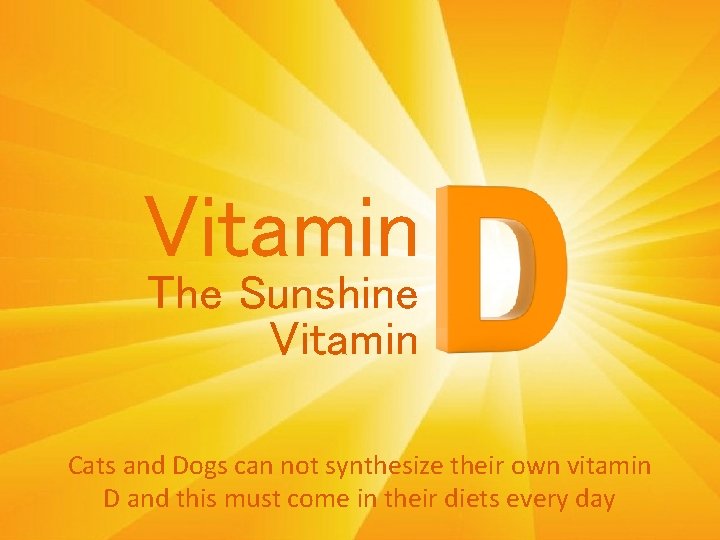 D Vitamin The Sunshine Vitamin Cats and Dogs can not synthesize their own vitamin