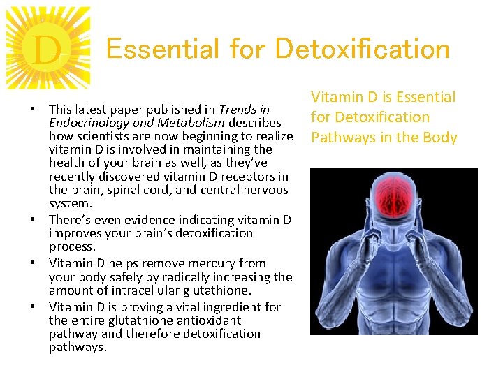 D Essential for Detoxification • This latest paper published in Trends in Endocrinology and