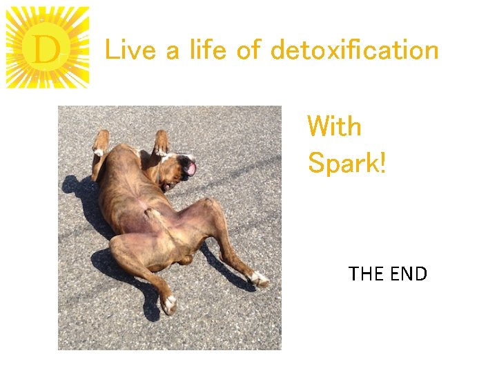 D Live a life of detoxification With Spark! THE END 