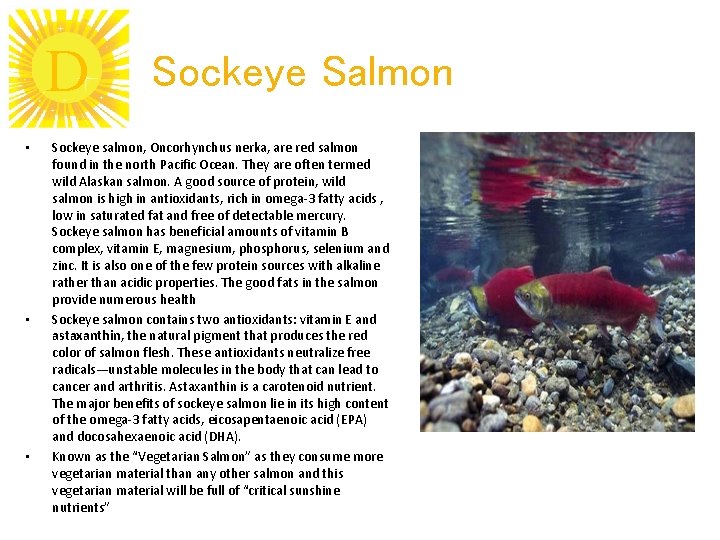 D • • • Sockeye Salmon Sockeye salmon, Oncorhynchus nerka, are red salmon found