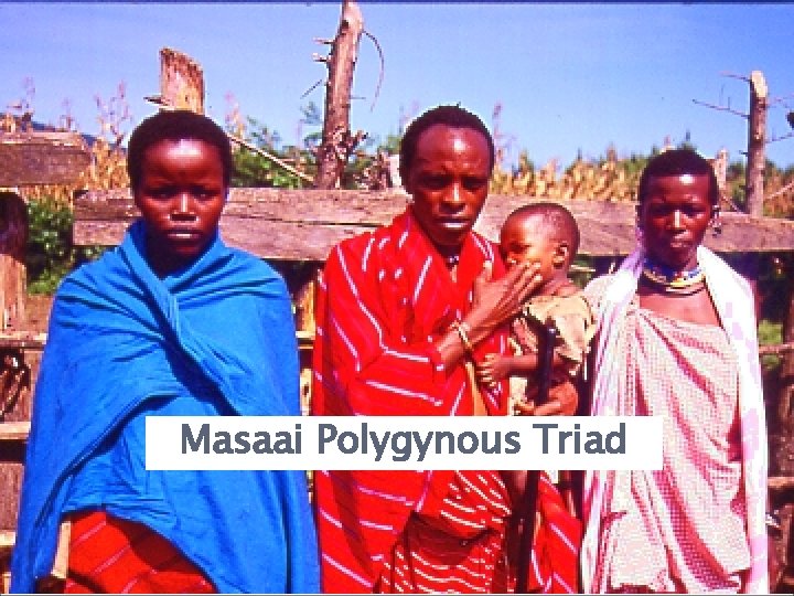 Masaai Polygynous Triad 