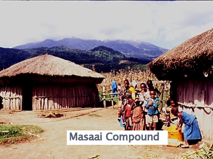 Masaai Compound 