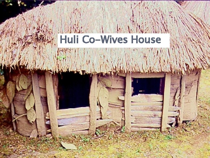Huli Co-Wives House 