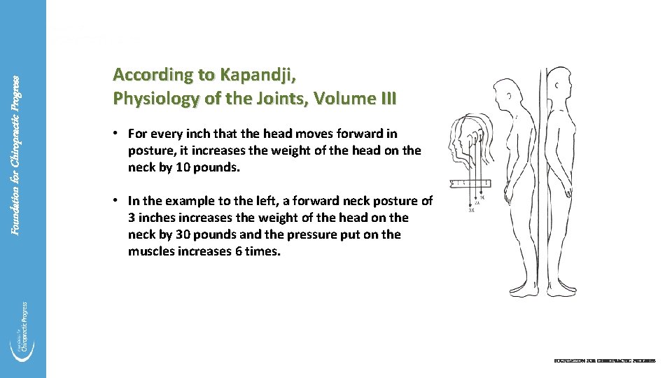 Foundation for Chiropractic Progress According to Kapandji, Physiology of the Joints, Volume III •