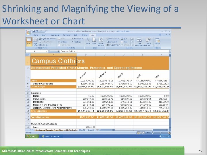 Shrinking and Magnifying the Viewing of a Worksheet or Chart Microsoft Office 2007: Introductory