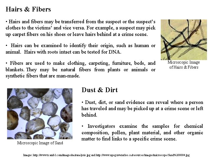 Hairs & Fibers • Hairs and fibers may be transferred from the suspect or