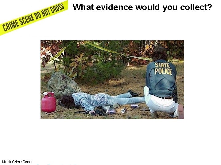 What evidence would you collect? Mock Crime Scene: 