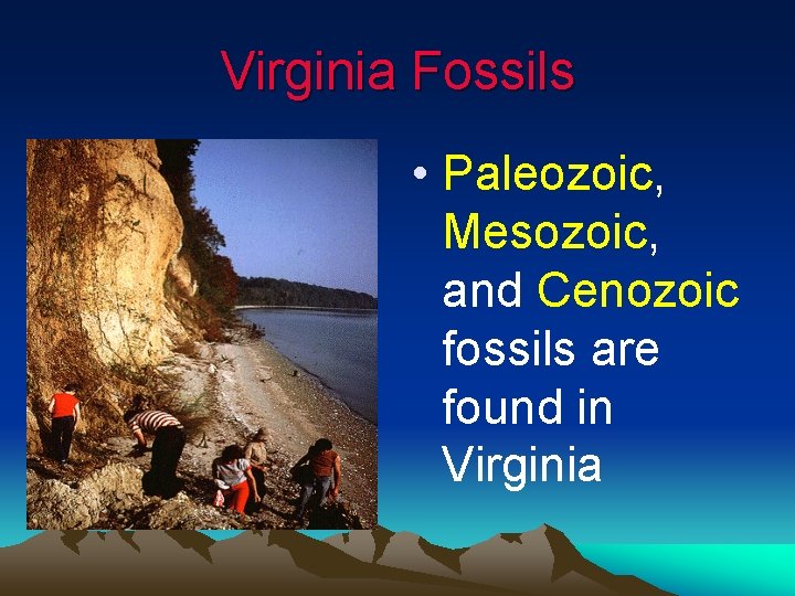 Virginia Fossils • Paleozoic, Mesozoic, and Cenozoic fossils are found in Virginia Virginia Fossils • Paleozoic, Mesozoic, and Cenozoic fossils are found in Virginia