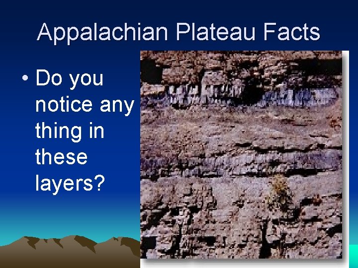 Appalachian Plateau Facts • Do you notice any thing in these layers? Appalachian Plateau Facts • Do you notice any thing in these layers?