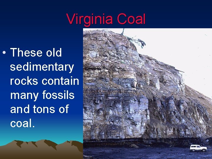 Virginia Coal • These old sedimentary rocks contain many fossils and tons of coal. Virginia Coal • These old sedimentary rocks contain many fossils and tons of coal.