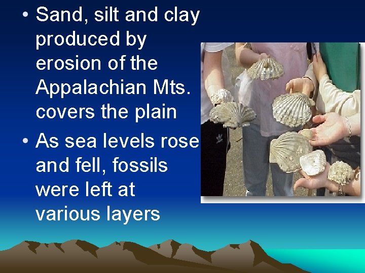 • Sand, silt and clay produced by erosion of the Appalachian Mts. covers • Sand, silt and clay produced by erosion of the Appalachian Mts. covers