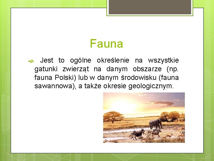 Fauna Jest to ogólne określenie na wszystkie gatunki zwierząt na danym obszarze (np. fauna