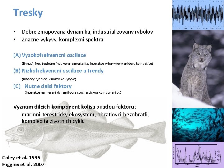 Tresky • • Dobre zmapovana dynamika, industrializovany rybolov Znacne vykyvy, komplexni spektra (A) Vysokofrekvencni