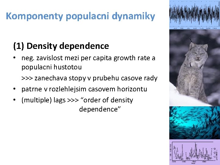 Komponenty populacni dynamiky (1) Density dependence • neg. zavislost mezi per capita growth rate