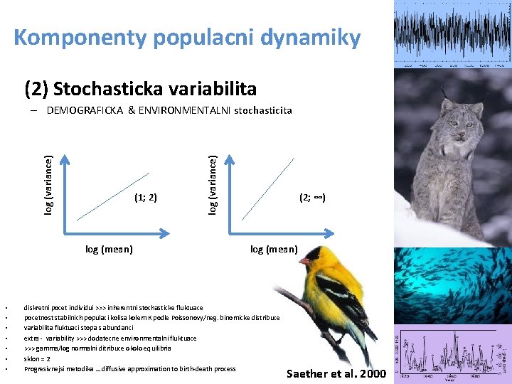Komponenty populacni dynamiky (2) Stochasticka variabilita (1; 2) log (mean) • • log (variance) Komponenty populacni dynamiky (2) Stochasticka variabilita (1; 2) log (mean) • • log (variance)