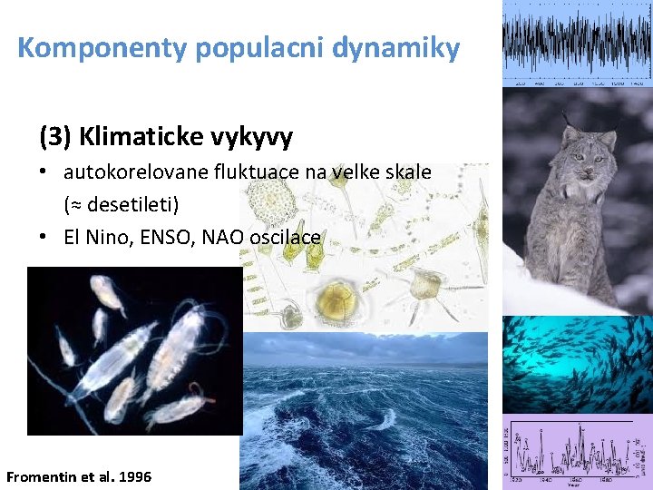 Komponenty populacni dynamiky (3) Klimaticke vykyvy • autokorelovane fluktuace na velke skale (≈ desetileti)