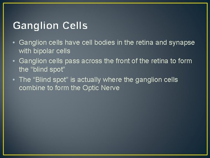Ganglion Cells • Ganglion cells have cell bodies in the retina and synapse with