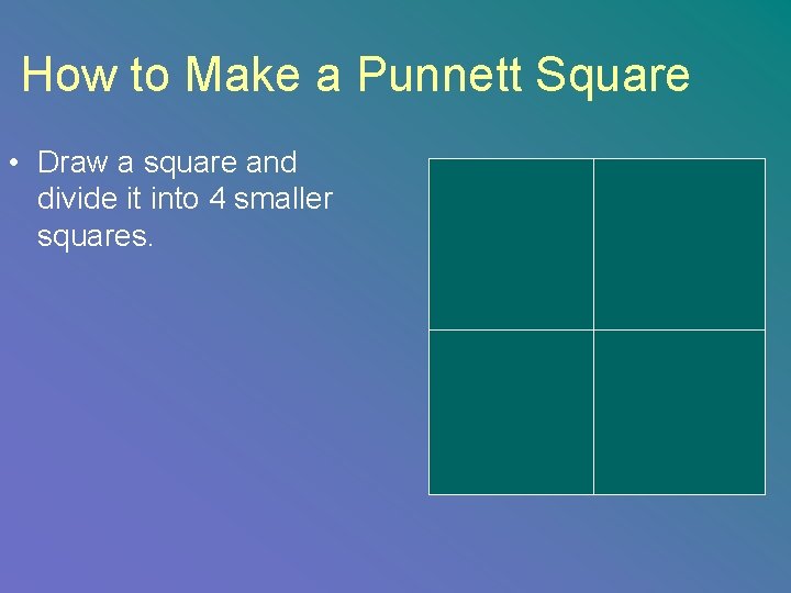 How to Make a Punnett Square • Draw a square and divide it into