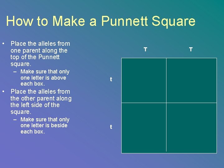 How to Make a Punnett Square • Place the alleles from one parent along