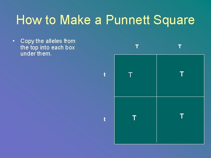 How to Make a Punnett Square • Copy the alleles from the top into