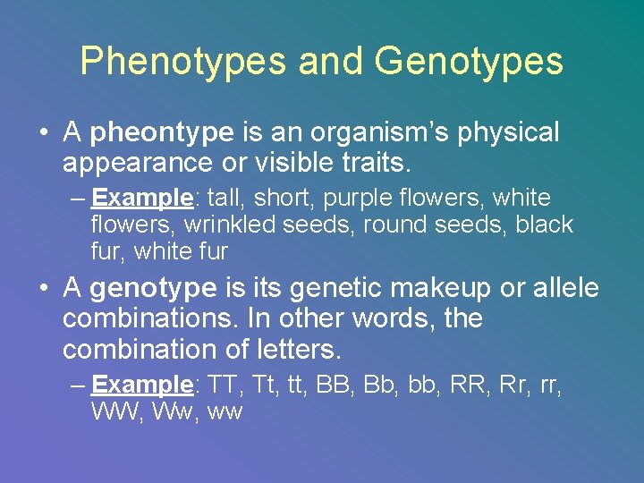 Phenotypes and Genotypes • A pheontype is an organism’s physical appearance or visible traits.