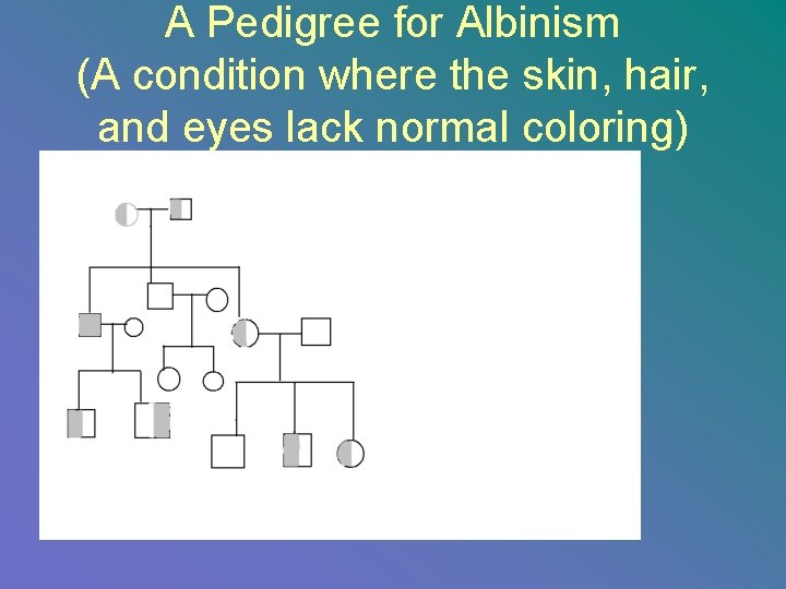 A Pedigree for Albinism (A condition where the skin, hair, and eyes lack normal