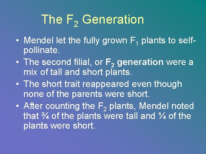 The F 2 Generation • Mendel let the fully grown F 1 plants to