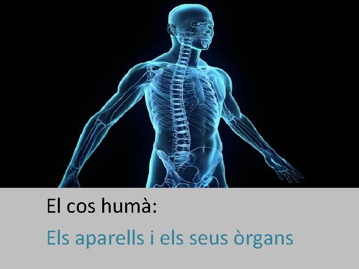 El cos humà: Els aparells i els seus òrgans 