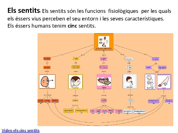 Els sentits: Els sentits són les funcions fisiològiques per les quals els éssers vius