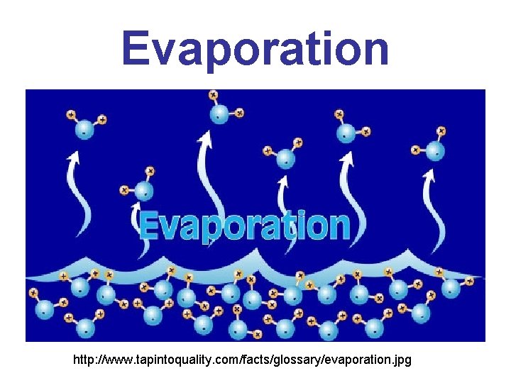 Evaporation http: //www. tapintoquality. com/facts/glossary/evaporation. jpg 