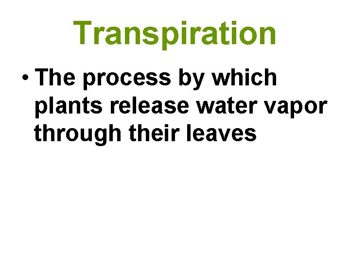Transpiration • The process by which plants release water vapor through their leaves 