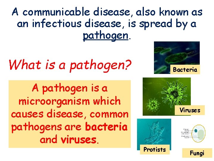 A communicable disease, also known as an infectious disease, is spread by a pathogen.