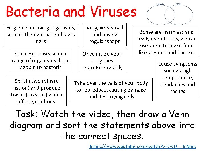 Bacteria and Viruses Single-celled living organisms, smaller than animal and plant cells Can cause