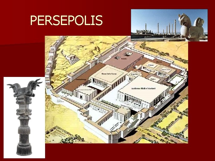 PERSEPOLIS 