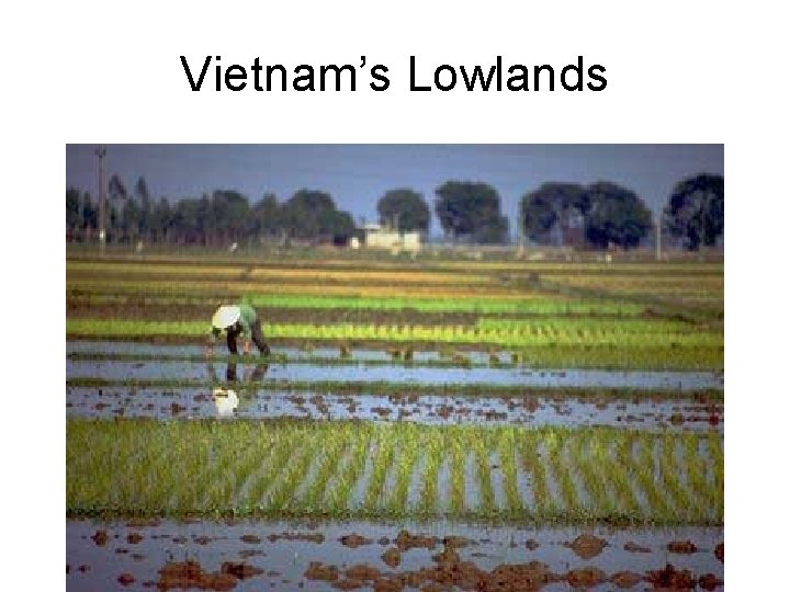 Vietnam’s Lowlands 