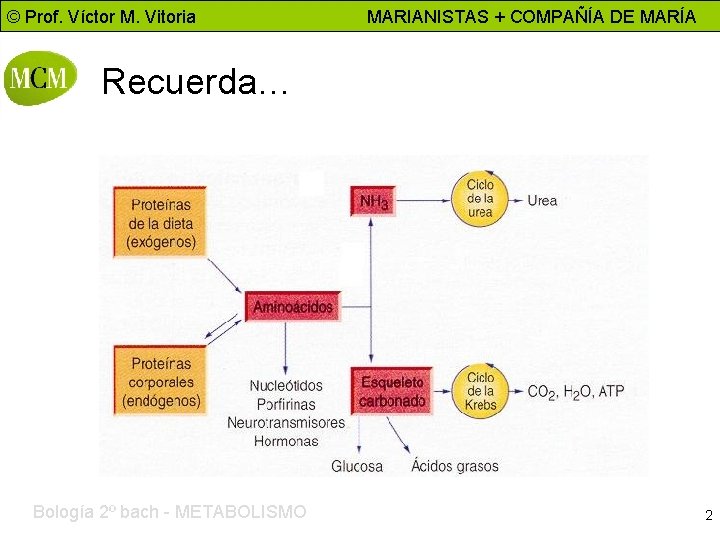 © Prof. Víctor M. Vitoria MARIANISTAS + COMPAÑÍA DE MARÍA Recuerda… Bología 2º bach