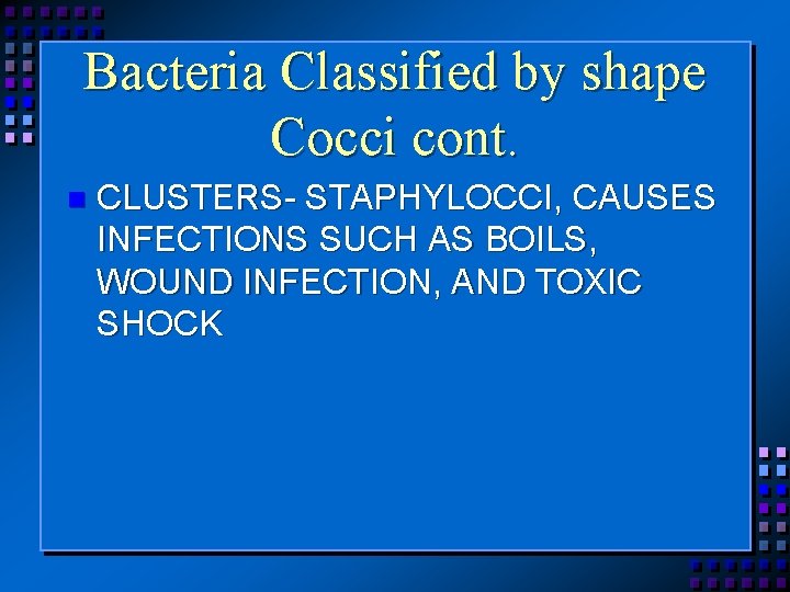 Bacteria Classified by shape Cocci cont. n CLUSTERS- STAPHYLOCCI, CAUSES INFECTIONS SUCH AS BOILS,