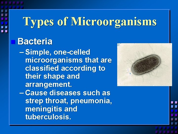 Types of Microorganisms n Bacteria – Simple, one-celled microorganisms that are classified according to