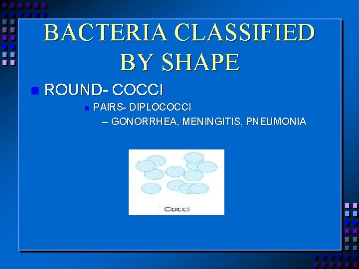 BACTERIA CLASSIFIED BY SHAPE n ROUND- COCCI n PAIRS- DIPLOCOCCI – GONORRHEA, MENINGITIS, PNEUMONIA