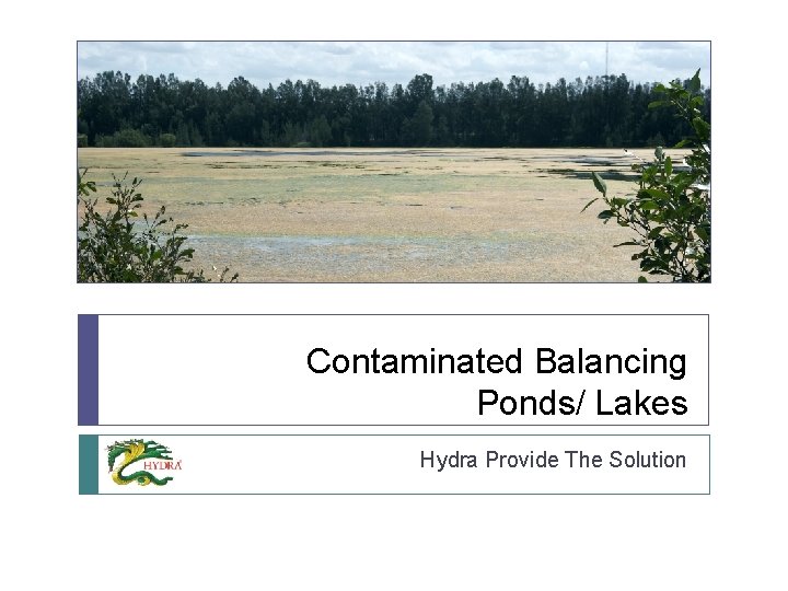 Contaminated Balancing Ponds/ Lakes Hydra Provide The Solution 