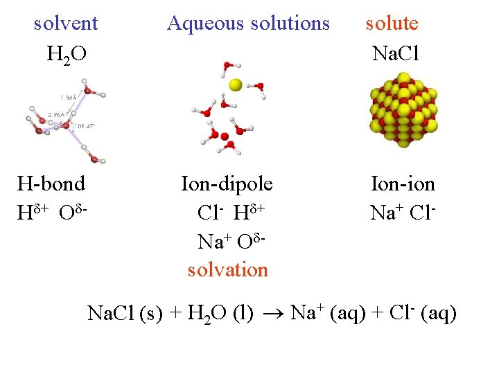 solvent H 2 O H-bond H + O - Aqueous solutions Ion-dipole Cl- H