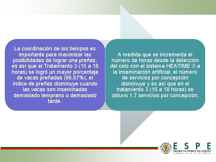 La coordinación de los tiempos es importante para maximizar las posibilidades de lograr una