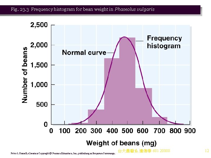 Fig. 23. 3 Frequency histogram for bean weight in Phaseolus vulgaris Peter J. Russell,