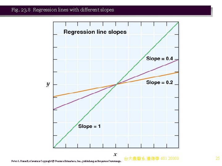 Fig. 23. 8 Regression lines with different slopes Peter J. Russell, i. Genetics: Copyright