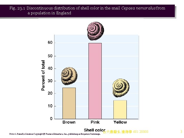 Fig. 23. 1 Discontinuous distribution of shell color in the snail Cepaea nemoralus from