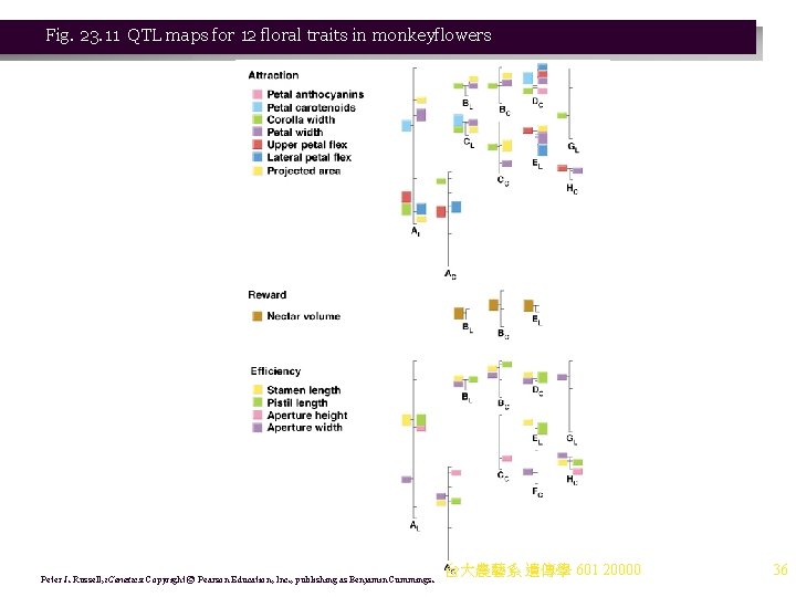 Fig. 23. 11 QTL maps for 12 floral traits in monkeyflowers Peter J. Russell,