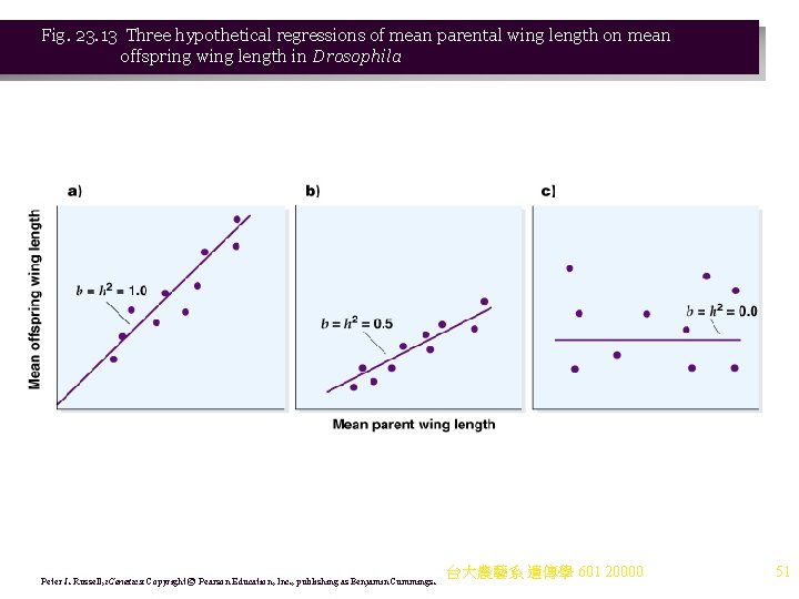 Fig. 23. 13 Three hypothetical regressions of mean parental wing length on mean offspring