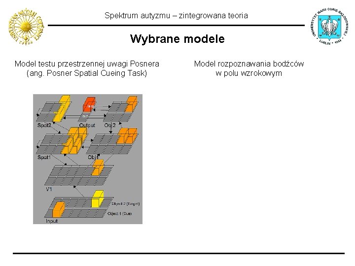 Spektrum autyzmu – zintegrowana teoria Wybrane modele Model testu przestrzennej uwagi Posnera (ang. Posner