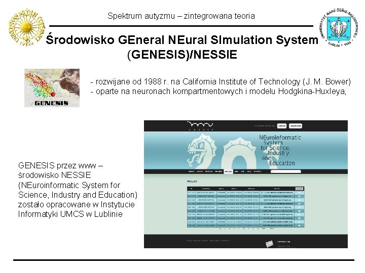 Spektrum autyzmu – zintegrowana teoria Środowisko GEneral NEural SImulation System (GENESIS)/NESSIE - rozwijane od